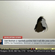 Illustration for article titled Report: The Packers Still Have A Hole In Their Wall